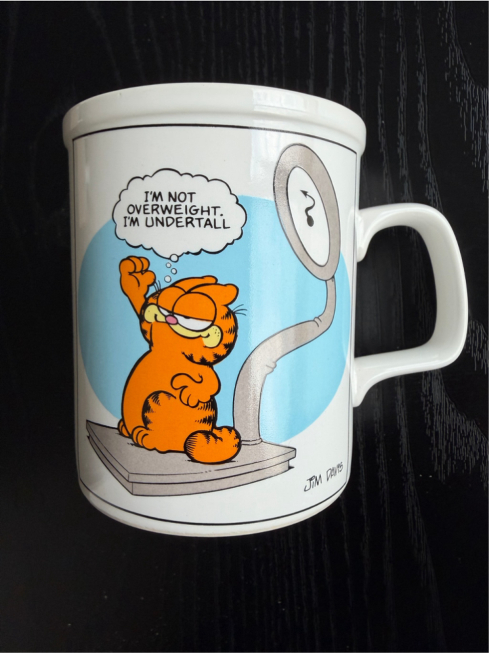 Garfield Ceramic Coffee Mug One Size White Orange
